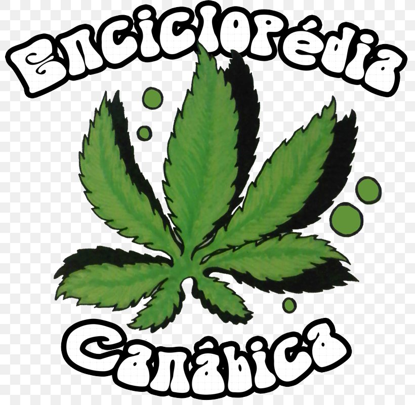 Cannabis Drawing Leaf Plant Stem Clip Art, PNG, 800x800px, Cannabis, Artwork, Drawing, Hemp, Hemp Family Download Free