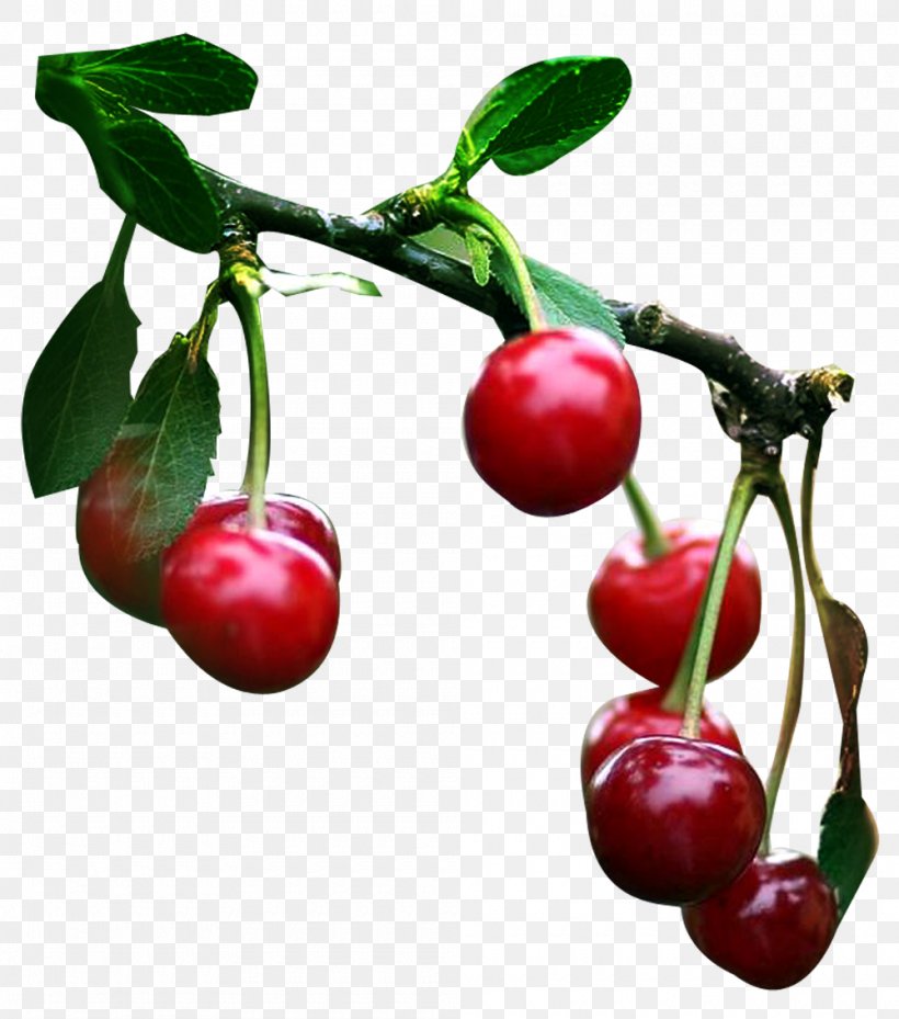 Cherry Fruits Et Légumes Cerasus, PNG, 1000x1133px, Cherry, Acerola, Acerola Family, Auglis, Berry Download Free