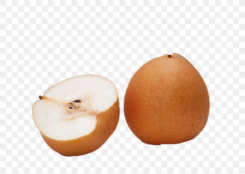 European Pear Fruit Computer File, PNG, 1024x727px, European Pear, Food, Fruit, Pear, Plot Download Free