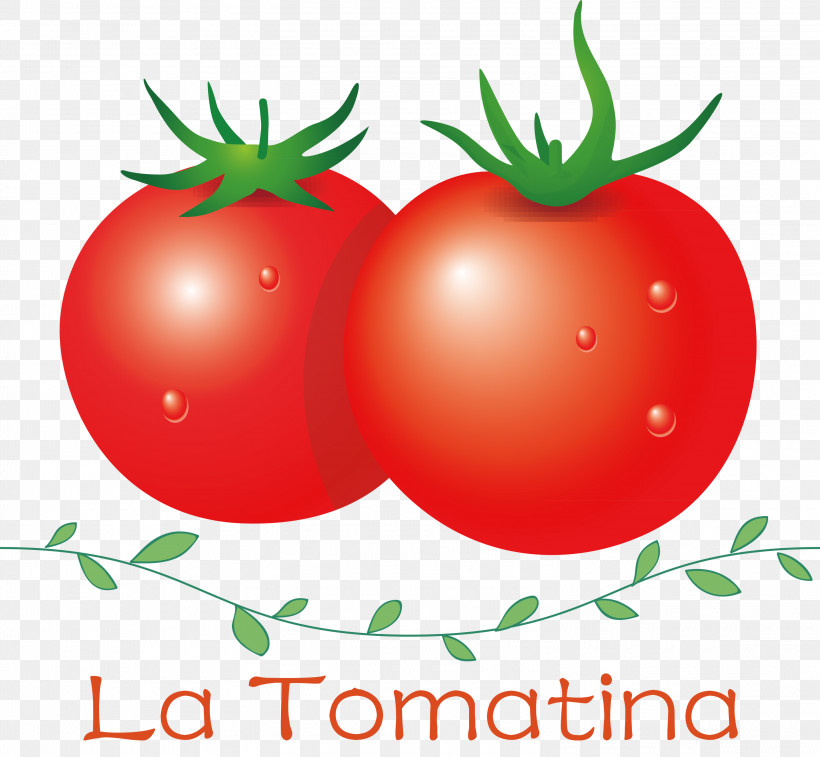 La Tomatina Tomato Throwing Festival, PNG, 3000x2771px, La Tomatina, Bush Tomato, Clementine, Datterino Tomato, Fruit Download Free