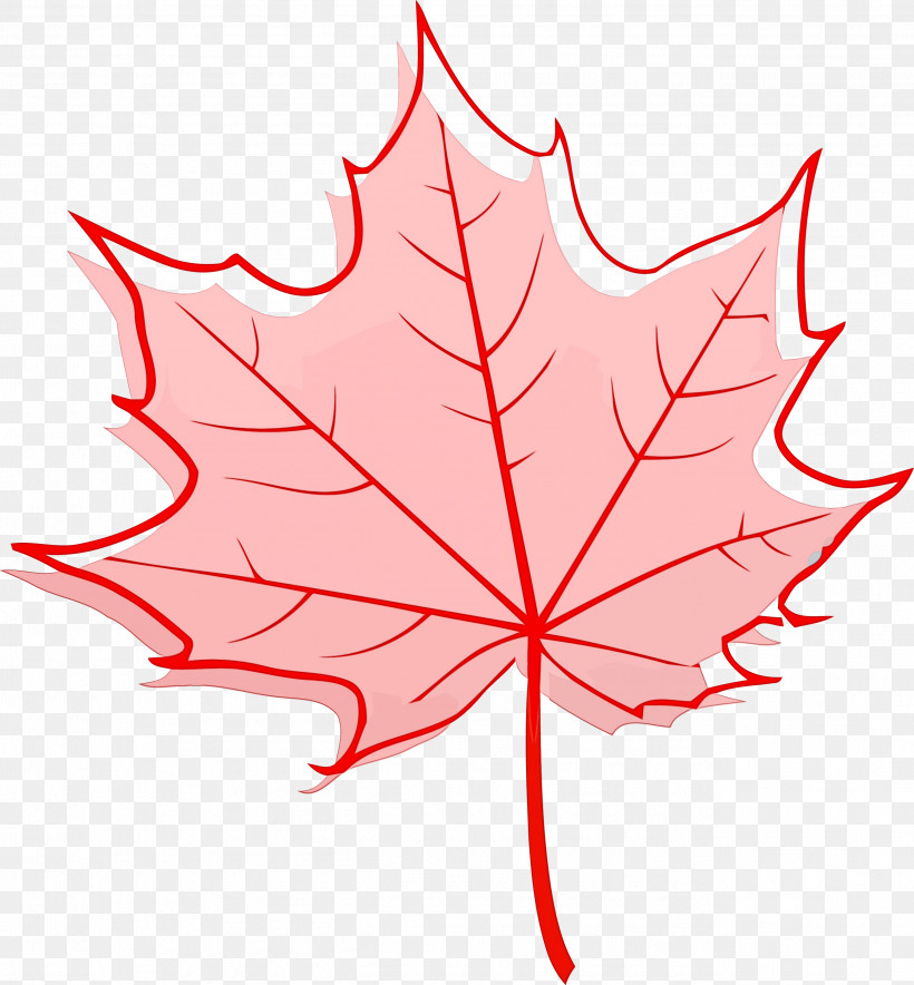 Maple Leaf, PNG, 2601x2806px, Autumn Leaf, Black Maple, Leaf, Line, Maple Leaf Download Free
