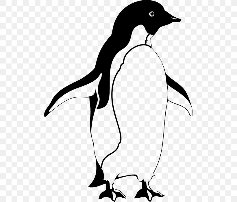 Penguin Galápagos Islands Bird Antarctica Animaatio, PNG, 700x700px, Penguin, Animaatio, Animal, Animated Film, Antarctica Download Free
