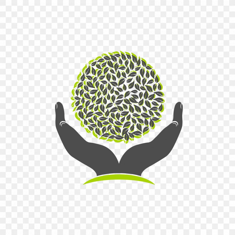 Tree Logo, PNG, 2000x2000px, Tree, Brand, Green, Logo, Organism Download Free