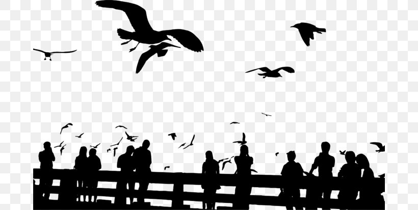 Bird Flight Silhouette Flock Clip Art, PNG, 690x412px, Bird, Animal Migration, Beak, Bird Flight, Bird Migration Download Free