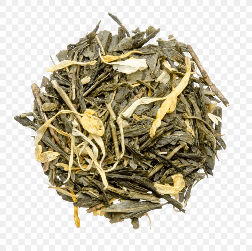 Green Tea Dianhong Golden Monkey Tea Nilgiri Tea, PNG, 1600x1600px, Tea, Assam Tea, Bai Mudan, Baihao Yinzhen, Bancha Download Free