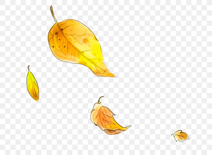 Autumn Leaf Yellow, PNG, 736x600px, Autumn, Autumn Leaf Color, Deciduous, Food, Fruit Download Free