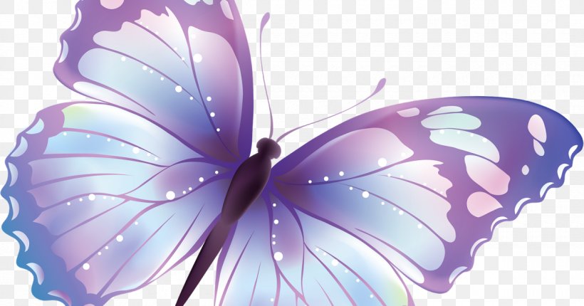 Butterfly Clip Art, PNG, 1200x630px, Butterfly, Brush Footed Butterfly, Data, Data Compression, Insect Download Free