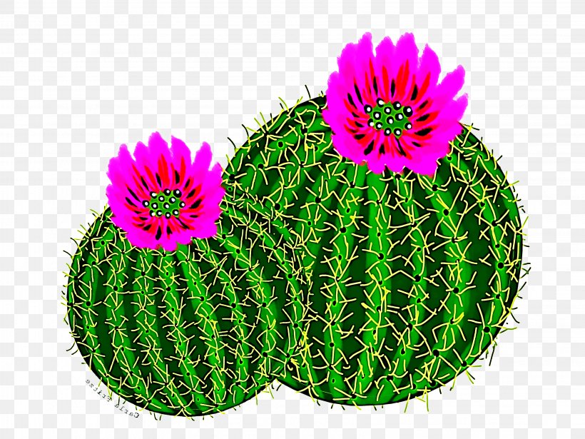 Cactus, PNG, 3264x2448px, Cactus, Caryophyllales, Flower, Flowering Plant, Green Download Free
