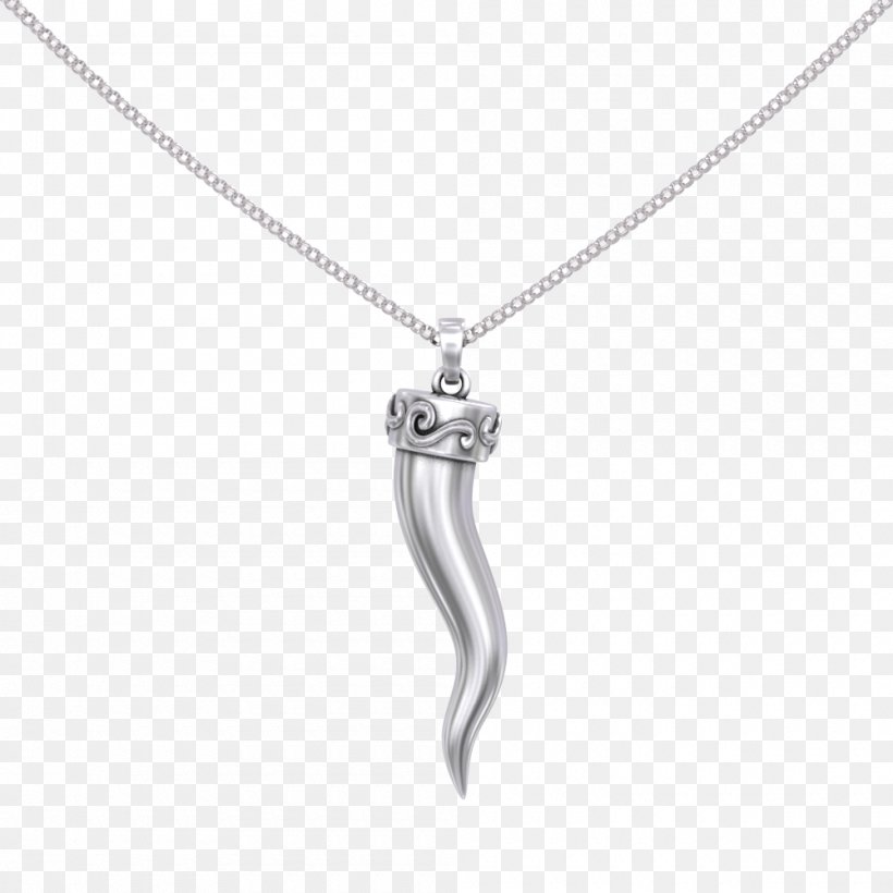 Jewellery Charms & Pendants Necklace Clothing Accessories Silver, PNG, 1000x1000px, Jewellery, Body Jewellery, Body Jewelry, Charms Pendants, Clothing Accessories Download Free