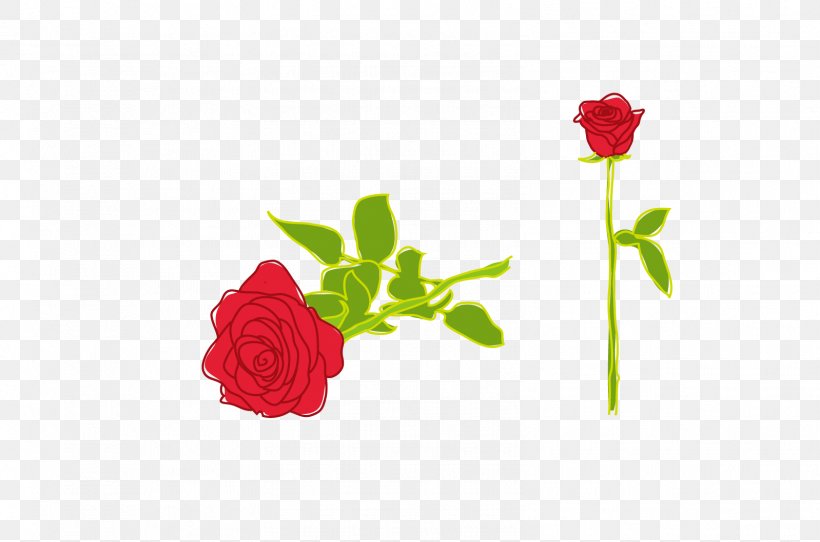 Rose Illustration, PNG, 1598x1058px, Rose, Drawing, Floral Design, Floristry, Flower Download Free