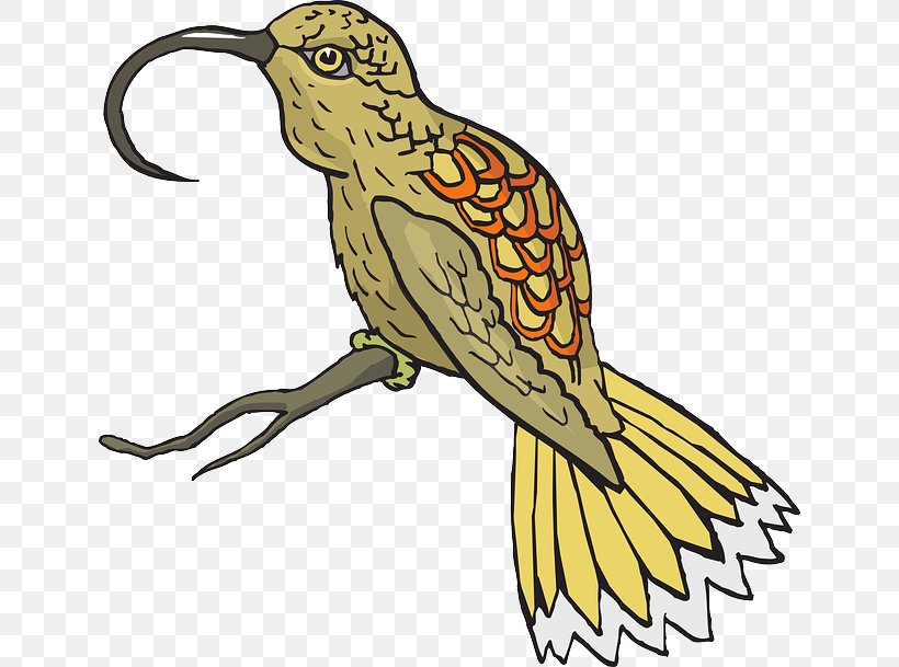 Beak Bird Clip Art, PNG, 640x609px, Beak, Animal, Artwork, Bird, Fauna Download Free