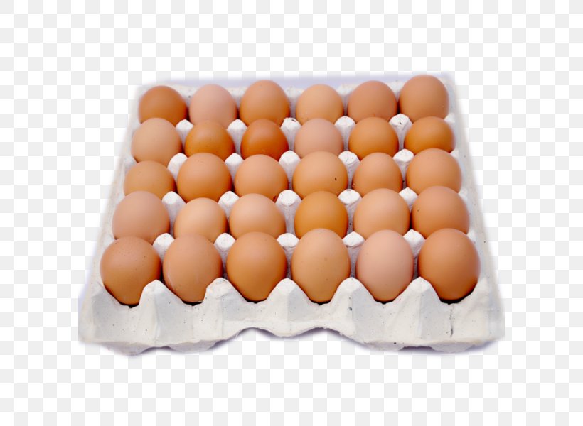 Egg Carton Crate Food, PNG, 600x600px, Egg, Bread, Carton, Crate, Dog Crate Download Free