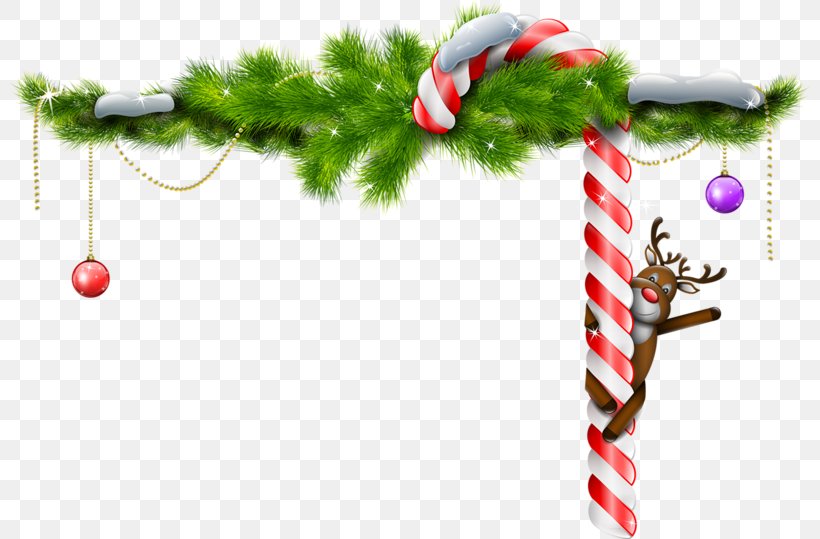 Reindeer Christmas Branch Clip Art, PNG, 800x539px, Reindeer, Branch, Candy Cane, Christmas, Christmas Decoration Download Free