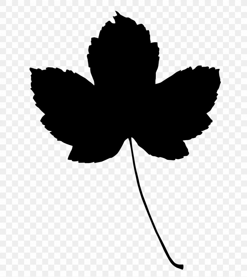 Leaf Plant Stem Silhouette Font Tree, PNG, 1600x1798px, Leaf, Blackandwhite, Botany, Flower, Flowering Plant Download Free