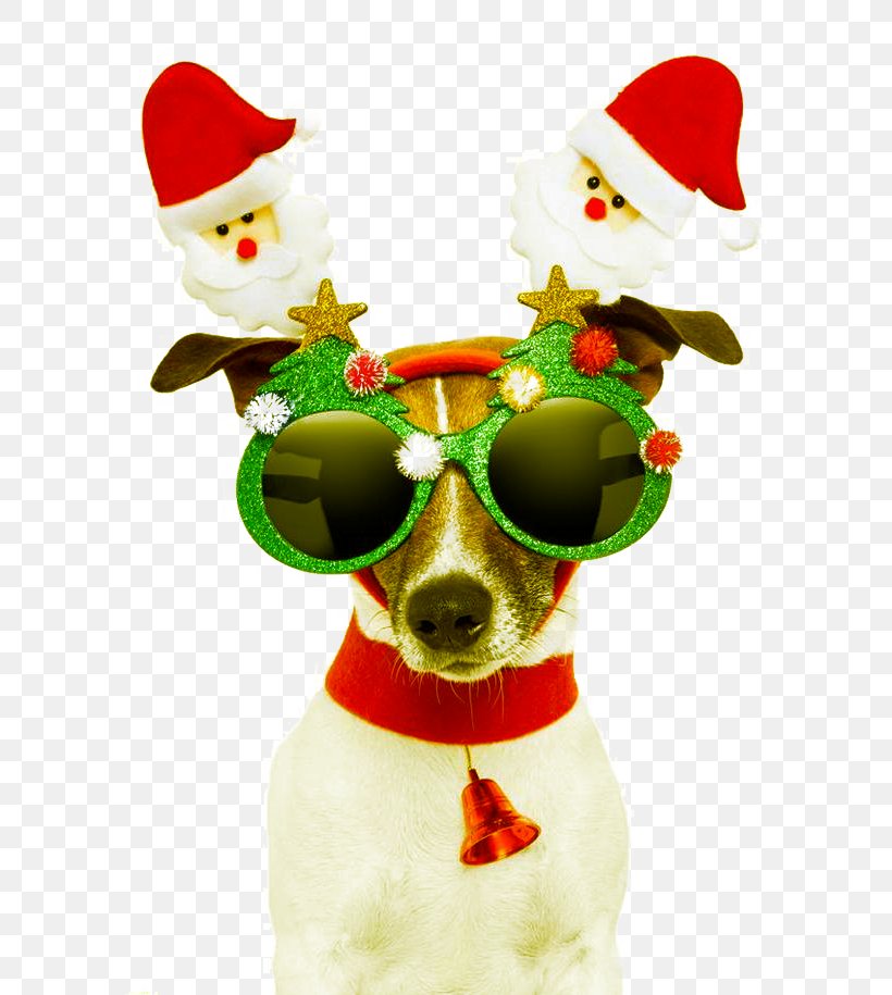 Santa Claus Dog Christmas Card Greeting Card, PNG, 658x915px, Santa Claus, Birthday, Christmas, Christmas Card, Christmas Decoration Download Free