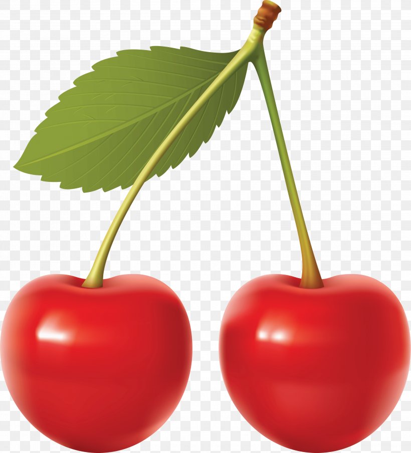 Cherry Clip Art, PNG, 3104x3425px, Cherry, Cartoon, Drawing, Food, Fruit Download Free