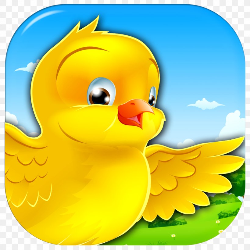 Duck Goose Beak Cygnini Bird, PNG, 1024x1024px, Duck, Anatidae, Beak, Bird, Cartoon Download Free