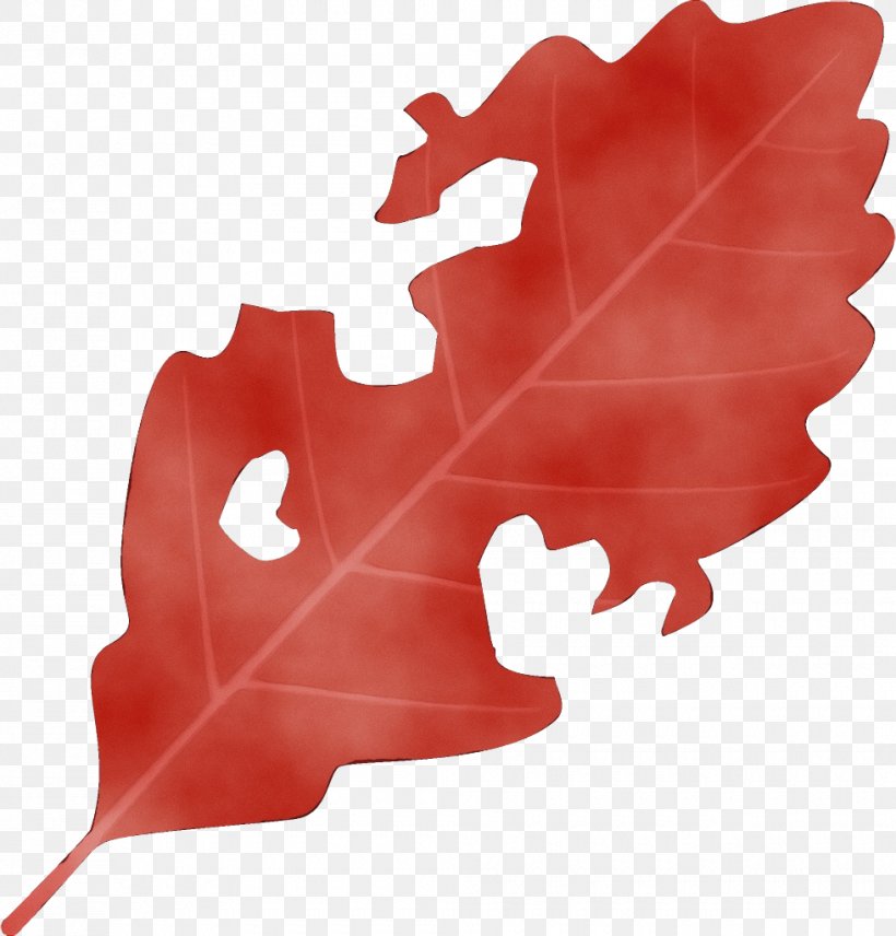 Maple Leaf, PNG, 980x1024px, Watercolor, Leaf, Maple Leaf, Paint, Plant Download Free