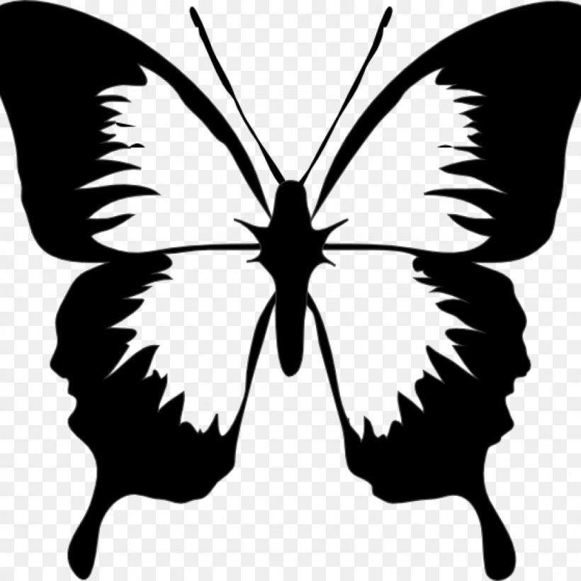 Butterfly Clip Art Vector Graphics Image Free Content, PNG, 1024x1024px, Butterfly, Arthropod, Black And White, Brush Footed Butterfly, Cabbage White Download Free