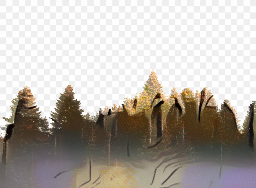 Family Tree Background, PNG, 2040x1500px, Tree, Animation, Atmospheric Phenomenon, Bank, Conifer Download Free