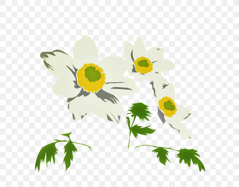 Floral Design, PNG, 1844x1440px, Floral Design, Cartoon, Chrysanthemum, Flower, Oxeye Daisy Download Free