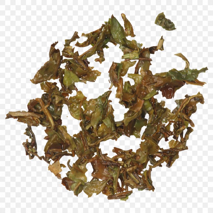 Nilgiri Tea Tieguanyin Tea Plant, PNG, 1000x1000px, Nilgiri Tea, Bai Mudan, Bancha, Da Hong Pao, Darjeeling Tea Download Free
