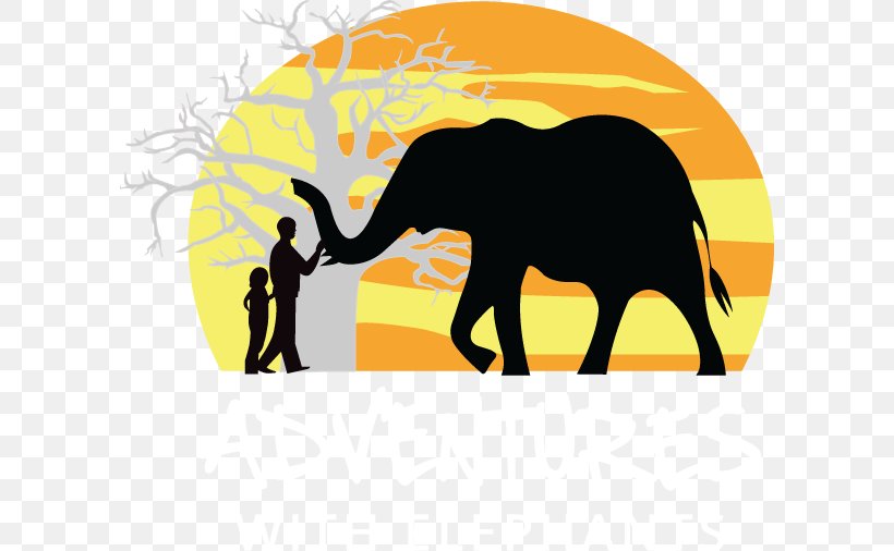 Indian Elephant African Elephant Clip Art Adventures With Elephants, PNG, 600x506px, Indian Elephant, Africa, African Elephant, Animal, Asian Elephant Download Free