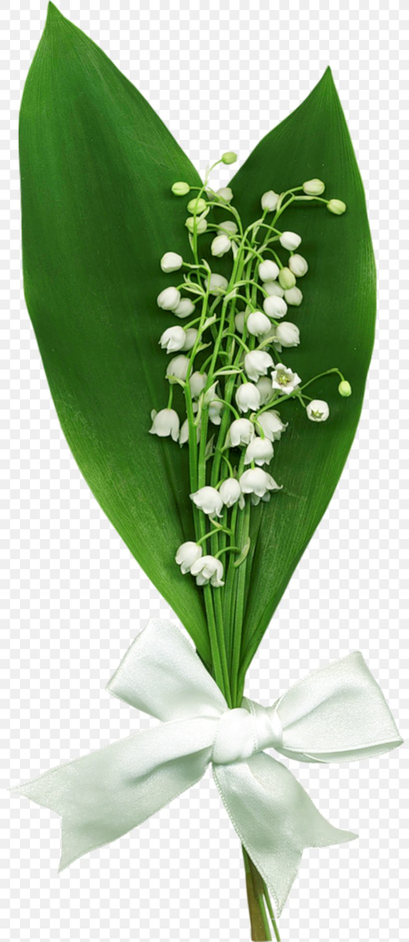 Lily Of The Valley Clip Art, PNG, 800x1887px, Lily Of The Valley, Animation, Convallaria, Cut Flowers, Floral Design Download Free
