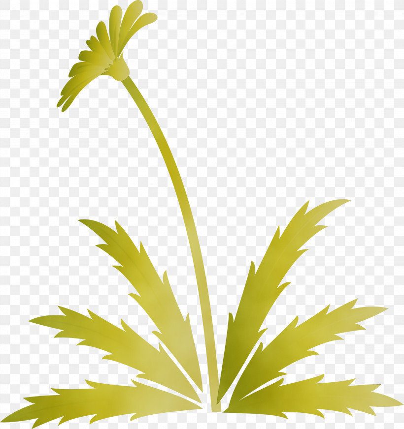 Palm Tree, PNG, 2819x3000px, Dandelion Flower, Arecales, Easter Day Flower, Flower, Hemp Family Download Free