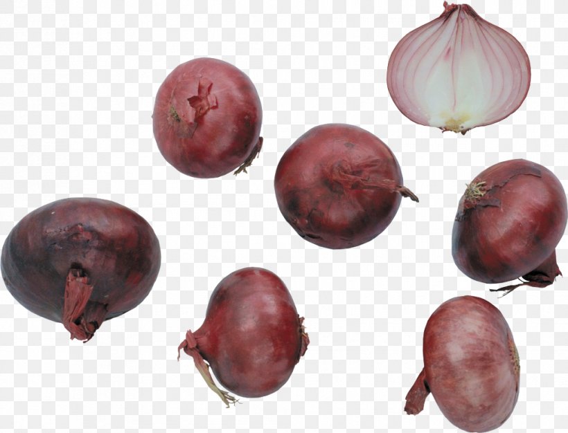 Shallot Vegetable Red Onion Garlic Beetroot, PNG, 1006x768px, Shallot, Beet, Beetroot, Berry, Flavor Download Free