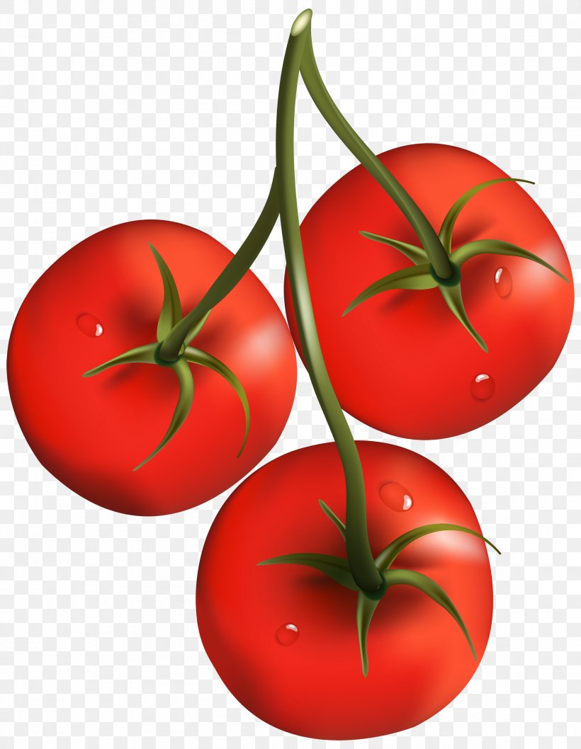 Cherry Tomato Vegetable Clip Art, PNG, 2324x3000px, Cherry Tomato, Bush Tomato, Cherry, Food, Fruit Download Free