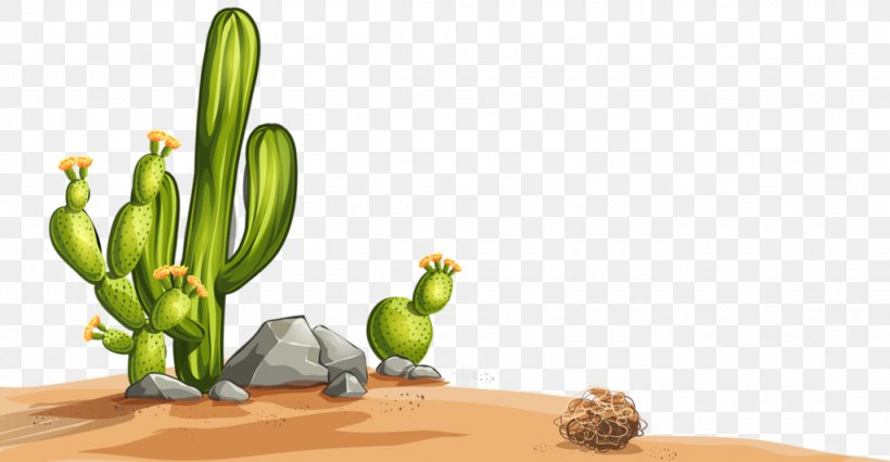Desert Cactaceae Illustration, PNG, 1024x533px, Desert, Cactaceae, Cactus, Flower, Flowering Plant Download Free