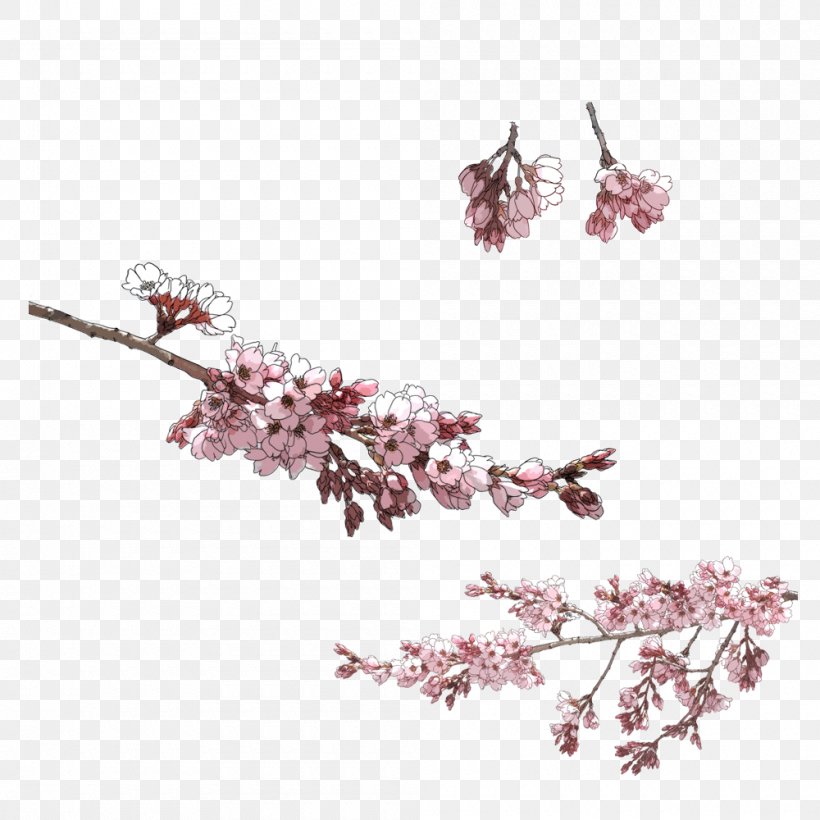 Drawing, PNG, 1000x1000px, Drawing, Branch, Chart, Cherry Blossom, Flower Download Free