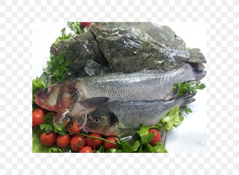 Fish Products Tilapia 09777 Salmon Oily Fish, PNG, 600x600px, Fish Products, Animal Source Foods, Barramundi, Dish, Dish Network Download Free