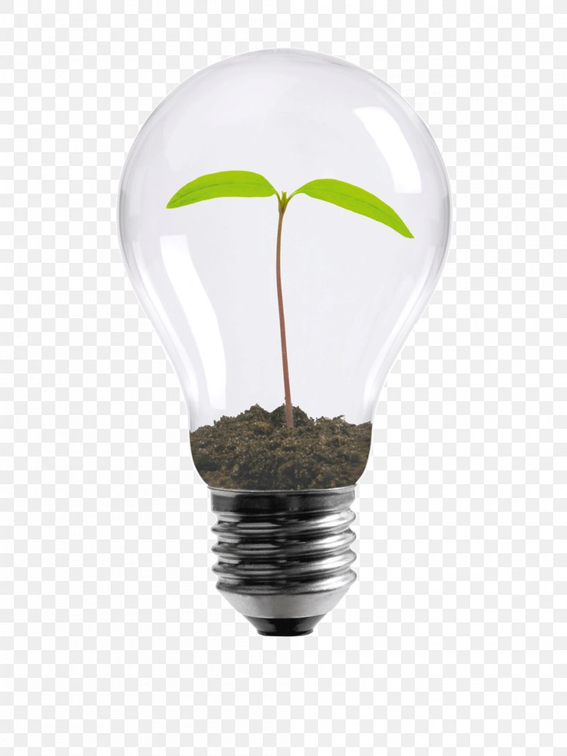 Incandescent Light Bulb Energy Conservation Design Efficient Energy Use, PNG, 1000x1333px, Incandescent Light Bulb, Company, Efficient Energy Use, Energy, Energy Conservation Download Free