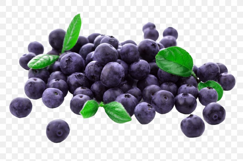 Muffin Blueberry Frutti Di Bosco Flavor Balsamic Vinegar, PNG, 1024x683px, Muffin, Baking, Balsamic Vinegar, Berry, Bilberry Download Free