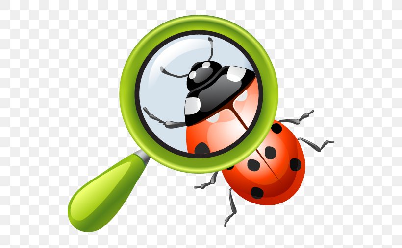 School Clip Art, PNG, 586x507px, School, Beetle, Education, Insect, Invertebrate Download Free