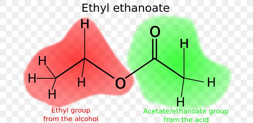 Acetic Acid Ester Butyl Group Butyl Acetate, PNG, 800x400px, Watercolor, Cartoon, Flower, Frame, Heart Download Free