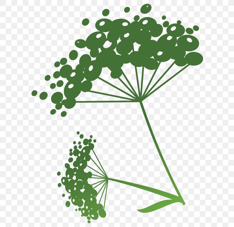 Flowering Plant Green Line Point Clip Art, PNG, 622x795px, Flowering Plant, Branch, Branching, Flora, Flower Download Free