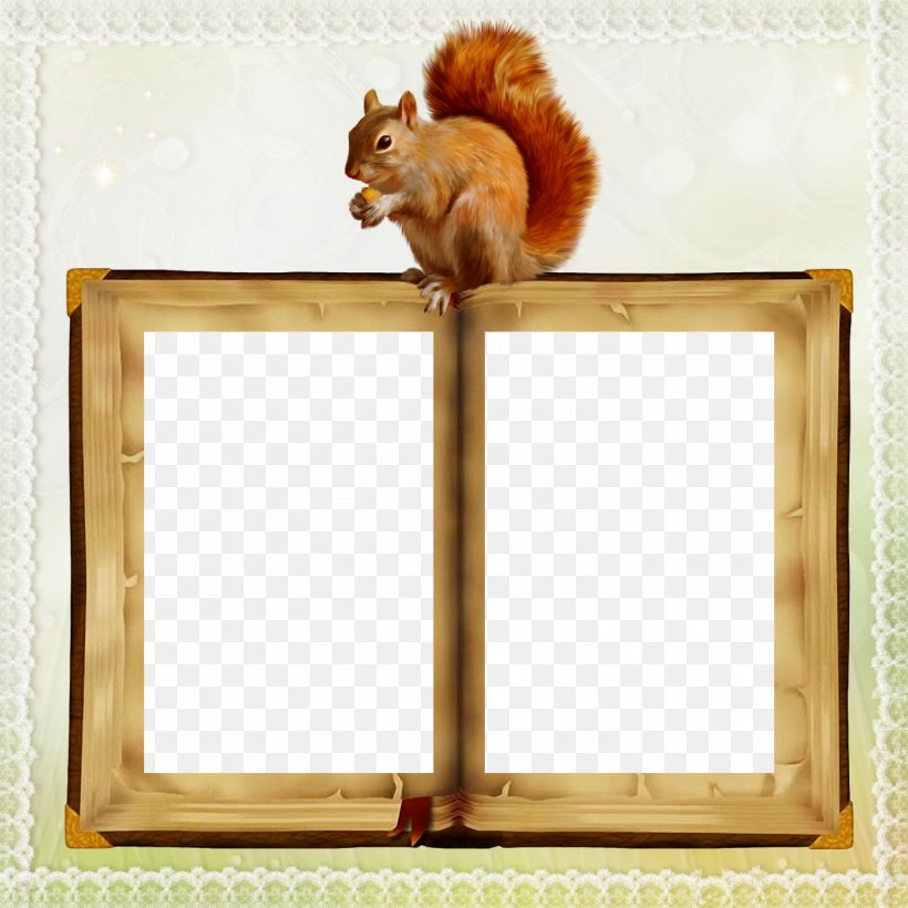 Squirrel Picture Frames, PNG, 1500x1500px, Squirrel, Book, Cat, Mammal, Mirror Download Free