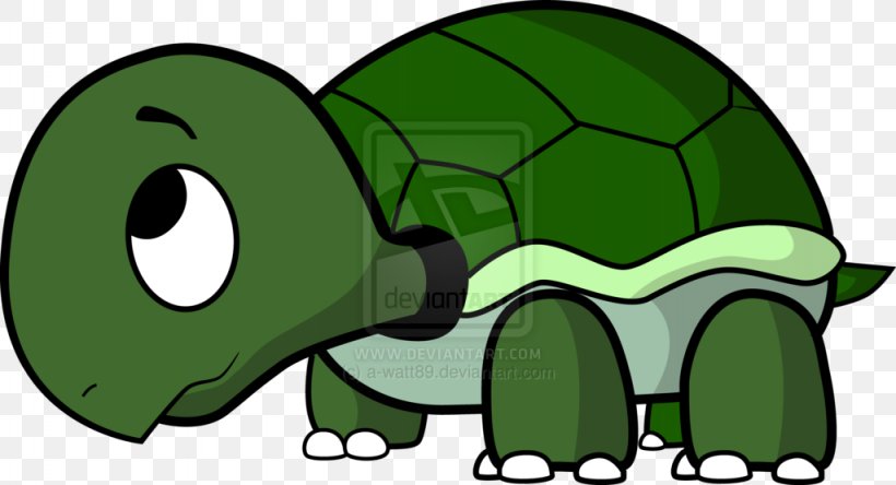 Tom Turtle Drawing Clip Art, PNG, 1024x555px, Turtle, Animation, Bitcoin Unlimited, Book, Cartoon Download Free