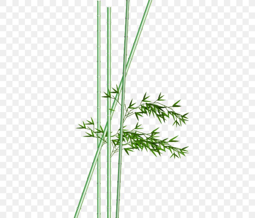 Bamboo Watercolor Painting Ink Wash Painting, PNG, 700x700px, Bamboo, Branch, Chinese Painting, Grass, Grass Family Download Free