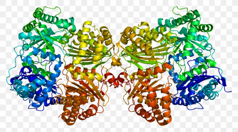 Insulin-degrading Enzyme Protein Biology Catalysis, PNG, 966x535px, Enzyme, Amyloid Beta, Amyloid Precursor Protein, Art, Biochemistry Download Free