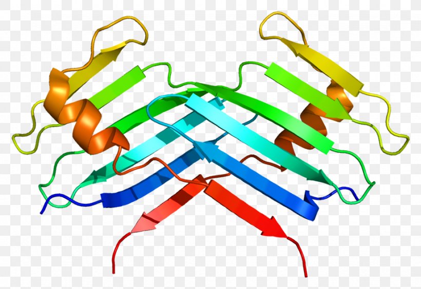 PLK4 Protein Kinase Gene Protein Kinase, PNG, 921x634px, Protein, Area, Chromosome, Dna, Enzyme Download Free
