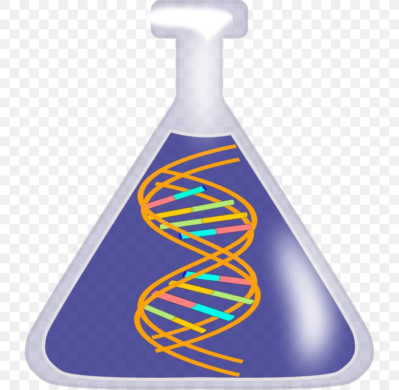 DNA Nucleic Acid Double Helix Free Content Clip Art, PNG, 718x800px, Dna, Chromosome, Dna Profiling, Dna Replication, Free Content Download Free