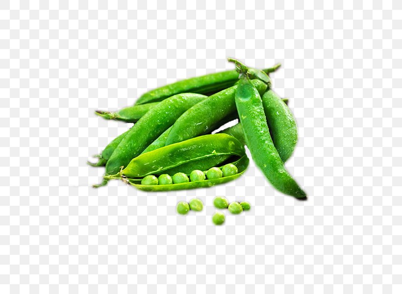 Snap Pea Edamame Vegetarian Cuisine Vegetable, PNG, 600x600px, Snap Pea, Bean, Designer, Edamame, Food Download Free