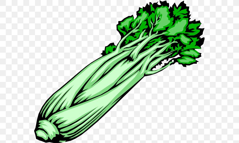 Celeriac Vegetable Food Clip Art, PNG, 585x489px, Celeriac, Carrot, Celery, Flower, Food Download Free