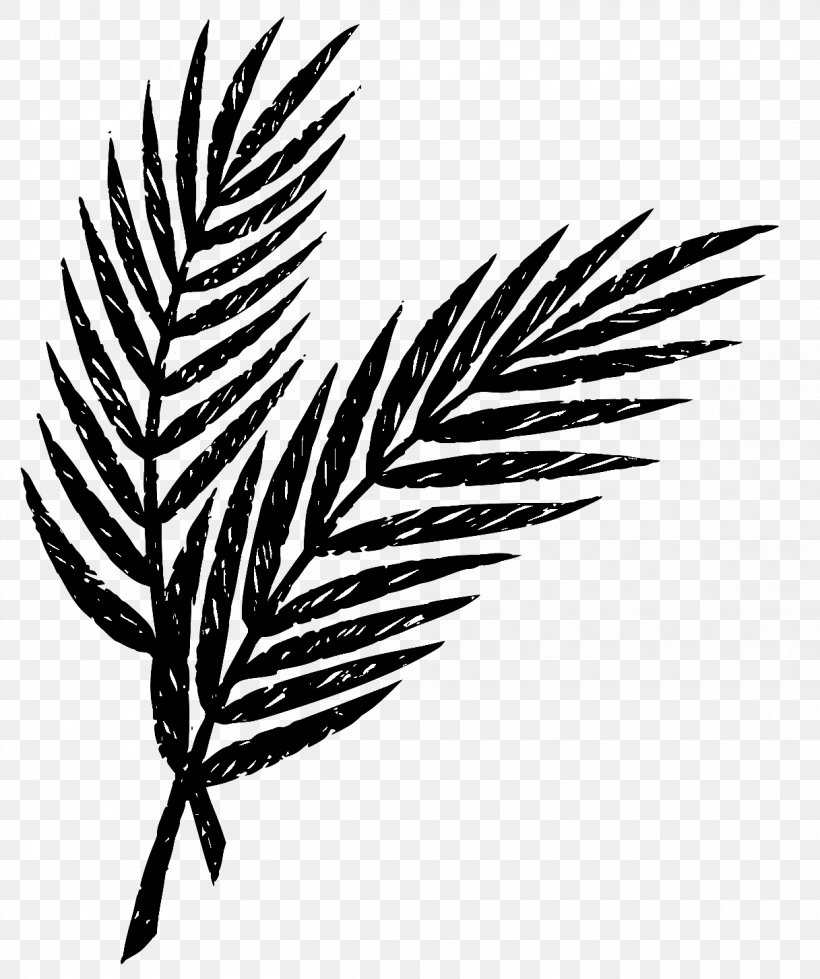 Palm Sunday Holy Week Easter Lent Maundy Thursday, PNG, 1217x1454px, Palm Sunday, Arecaceae, Arecales, Ash Wednesday, Black And White Download Free