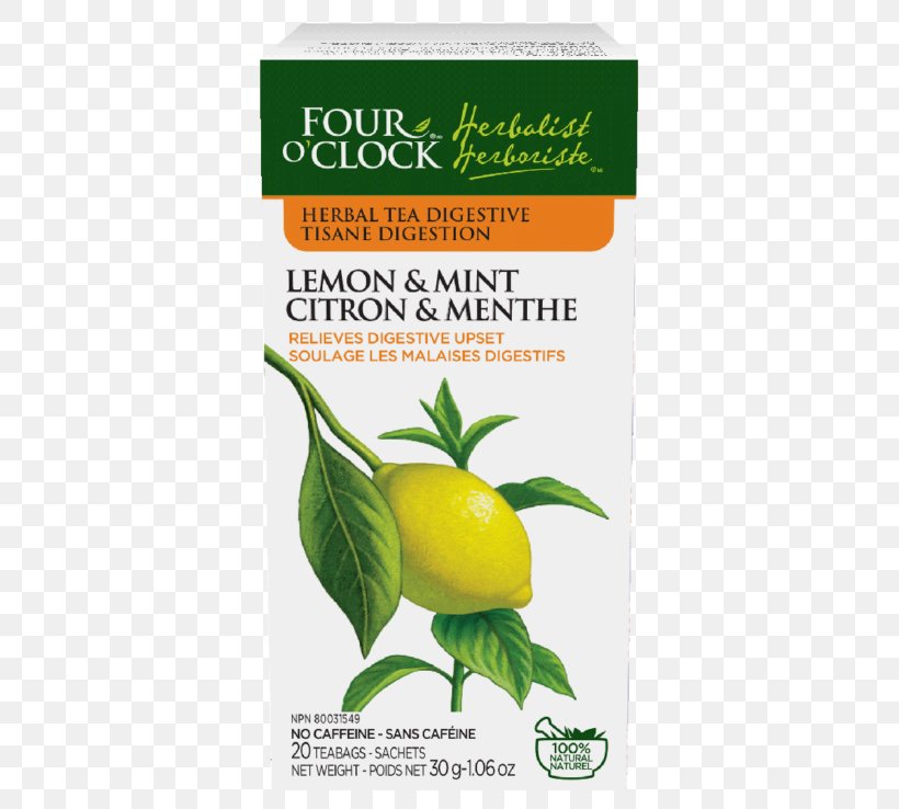 Tea Sencha Bancha Gyokuro Lemonade, PNG, 738x738px, Tea, Bancha, Citric Acid, Citrus, Drink Download Free