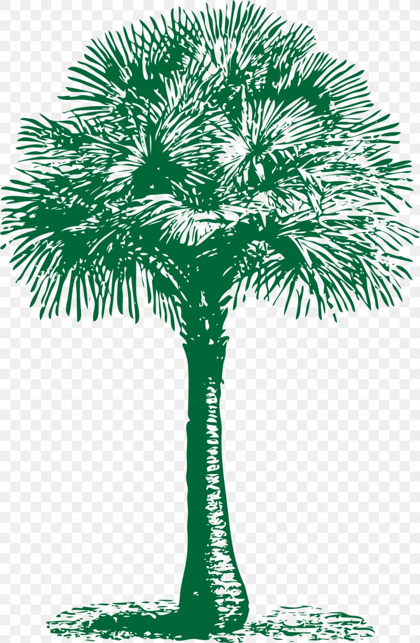 Arecaceae Asian Palmyra Palm Tree Washingtonia Filifera Date Palm, PNG, 1568x2400px, Arecaceae, Arecales, Asian Palmyra Palm, Borassus, Borassus Flabellifer Download Free